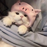 走过草地