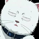 正义的伙伴