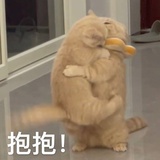 马猴师