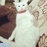 珉敏