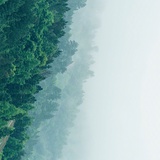 嚜嚜