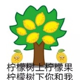 柠檬精
