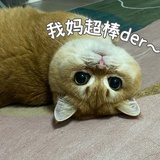 况小四放荡不羁