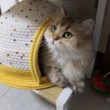 线条