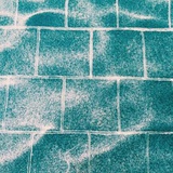 夏尔
