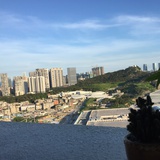 小小乔木