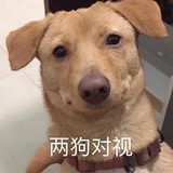 如果死那么容易