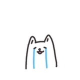 夭夭兔cc