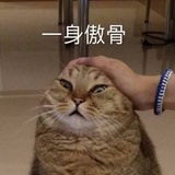 暴躁柠小檬