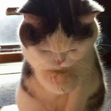Miss小姐、Kiss