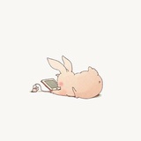 洛荼荼