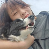 橹桨一横过