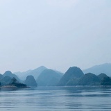 一条闲鱼