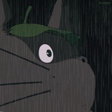 獭獭