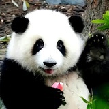 少吃点吧