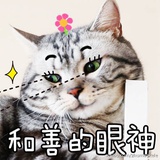 奶油蛋糕