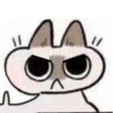 苹果布鲁