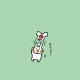 姜酱