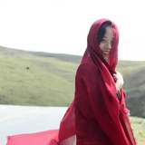 汪汪宝贝