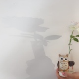 长发及腰的小妖