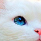 小手电