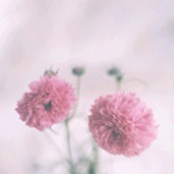 Care_c