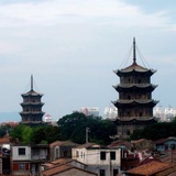 刺桐城青年