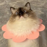 不当乙方