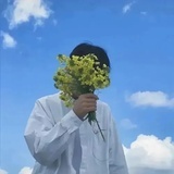 杨