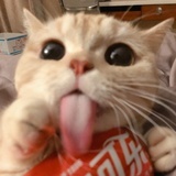 一之日二三