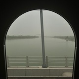 红色浆果