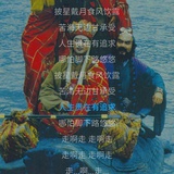 观