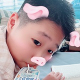 豆豆豆丁