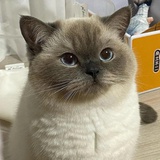 管埋员