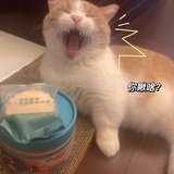 皮克斯的皮