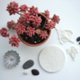 炸鸡