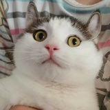 hhh
