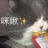 法力无边🥤