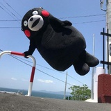 堂堂酱
