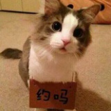 一起去留学
