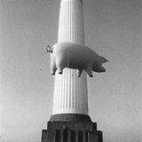 Nalydaar