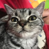 找不到我