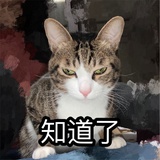 🐈🐕🐾