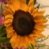amber