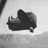 额