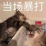 基屁