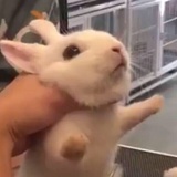 摇滚天后赵雅芝