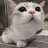 啦啦啦啦