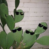 。