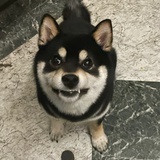 新世纪咖啡战士